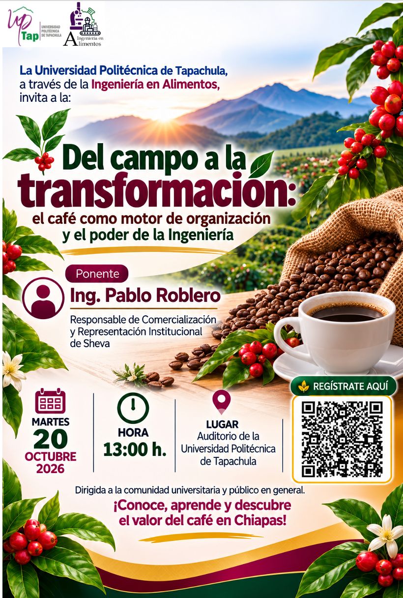 DEL CAMPO A LA TRANSFORMACIÓN