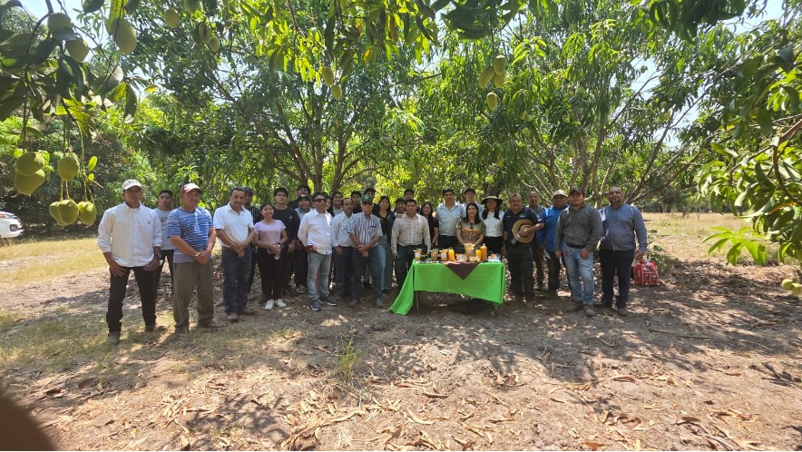 UPTAP PARTICIPA EN DEMOSTRACIÓN DE TECNOLOGÍAS AGRONÓMICAS PARA EL MANGO ATAULFO